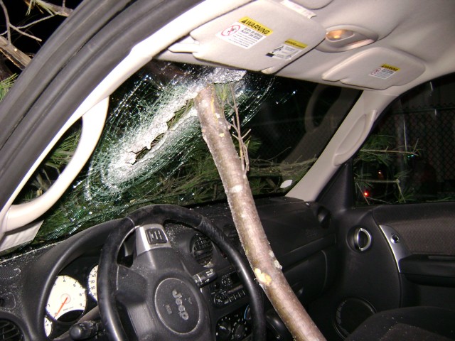 Amazingly The Driver Was Not Hurt At This Tree Down 