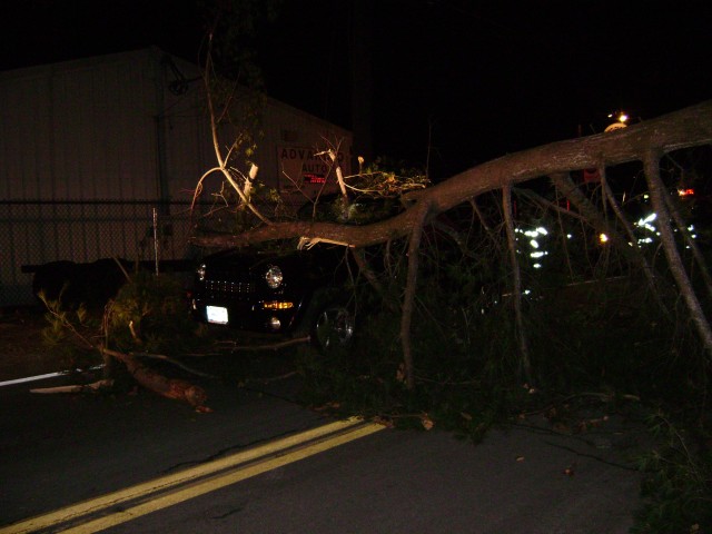 Tree Down On Car At Barger St Near E. Main St