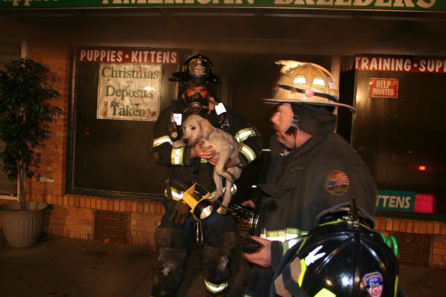 Firefighter Beyrer Rescues a Puppy at American Breeders Fire