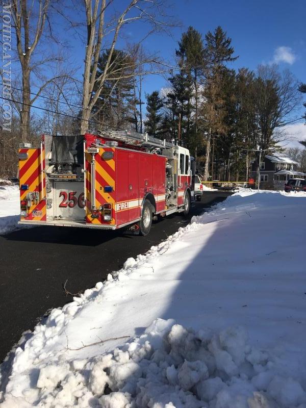 Engine 256 at Tree and Wires Down at Cortlandt Nursing Care Center 2/13/17