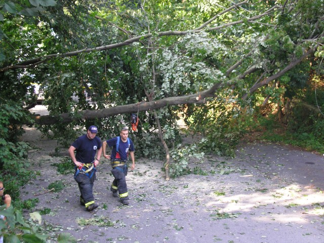 Lt Beyrer & Firefighter Gravius At A Tree Down On Wires Call on 8/25/07