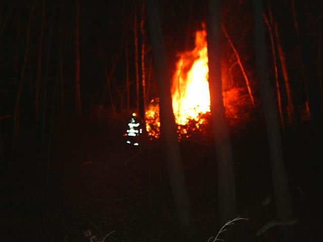 Brush Fire Behind Crescent Dr On 2/9/12 Due to Dry Winter And Dead Trees From Oct, 2011 Snowstorm 